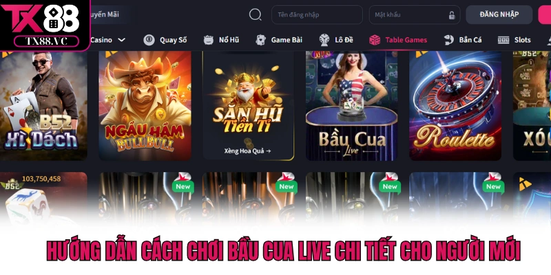Hướng dẫn cách chơi bầu cua live chi tiết cho người mới