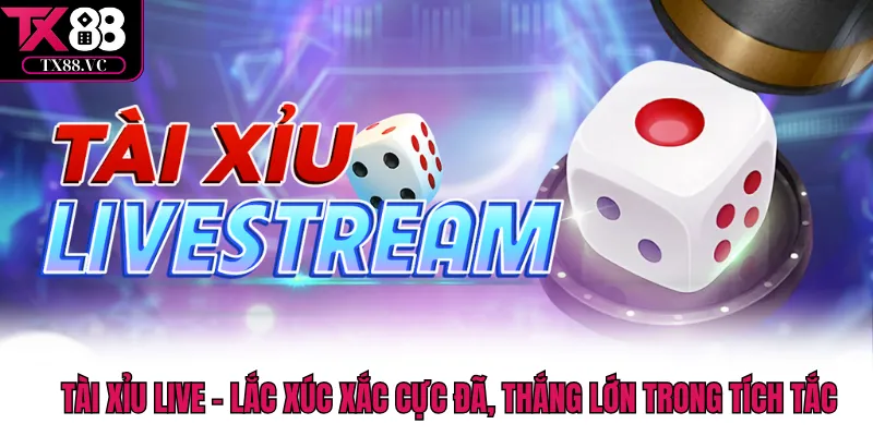 Tài Xỉu Live - Lắc Xúc Xắc Cực Đã, Thắng Lớn Trong Tích Tắc