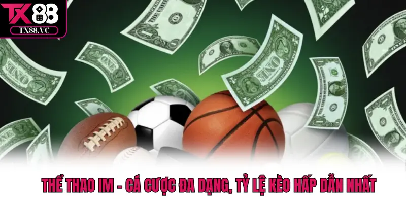 Thể thao IM – Cá Cược Đa Dạng, Tỷ Lệ Kèo Hấp Dẫn Nhất